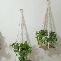 اویزگلدان|گل و گیاه طبیعی|رشت, انصاری|دیوار