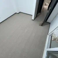 فروشگاه تندیس|موکت|بندر گز, |دیوار