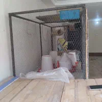 قفس مرغ ‌وپرنده