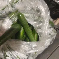 خیار تازه