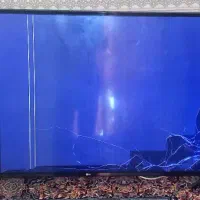 تلویزیون ۵۹اینچ ال جی