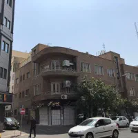 بهار شمالی خوش نقشه تکبرگ سند نورگیر