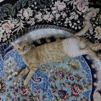 به سرپرست خانوم واگذار میکنم