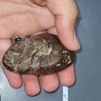 سنگ|کلکسیون اشیاء عتیقه|قیدار, |دیوار