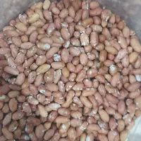 خلال بادام و بادام آجیلی|خوردنی و آشامیدنی|آستانه اشرفیه, |دیوار