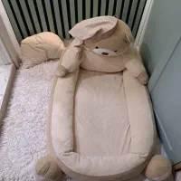 تعدادی تشک سگ و گربه