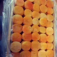 مدیر داخلی و منشی برا کارگاه خشکبار