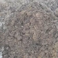 کود حیوانی  .