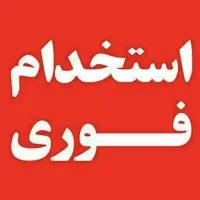 کار در تولیدی ام دی اف سرویس خواب