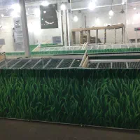 فروش وسایل کامل میوه فروشی