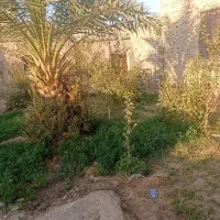 خانه|فروش خانه و ویلا|زابل, |دیوار