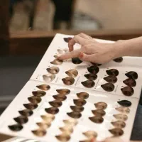 آموزشگاه زیبایی مدرک معتبر فنی حرفه ای میدان سعدی