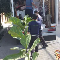 خدمات جابجایی و حمل و نقل کارگران حرفه ای