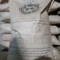 بذر ذرت ۷۰۴ مغان