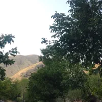 محله زشک 500متر باغ 950م