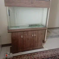 اکواریوم درحد نونو