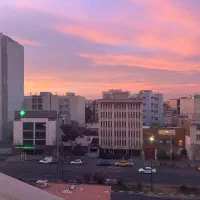 ۲۵مغازه برخیابان اصلی درختی