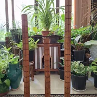 چراغ کنار سالنی|چراغ خواب و آباژور|اصفهان, بهرام‌آباد|دیوار