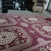 اجتماعی
