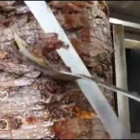 اموزش و راه اندازی انواع فست فود در محل|خدمات آموزشی|بجنورد, |دیوار