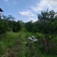 زمین-تجاری-مسکونی-رامسر-ساداتشهر-زیر-قیمت