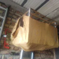 مامله ای با مرغ عشق|پرنده|ایرانشهر, |دیوار