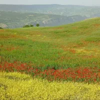 سفروگردش|تور و چارتر|بهشهر, |دیوار