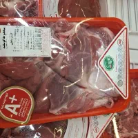 گوشت و مرغ|حراج|قم, سالاریه|دیوار