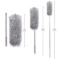 طی انتنی گردگیر