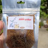 کرم میلورم