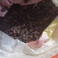 مویز|خوردنی و آشامیدنی|دشمن زیاری, |دیوار