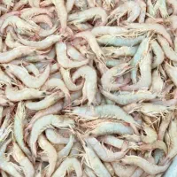 میگو تمیزکرده وکمر گرفته