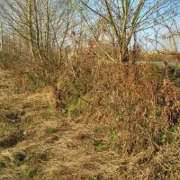 فرصت-ویژه-سرمایه-گذاری