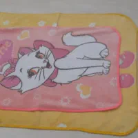 دوعدد پتو|رختخواب، بالش، پتو|سقز, |دیوار