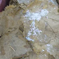 برگ مو شور عمده خرده|خوردنی و آشامیدنی|تهران, شوش|دیوار