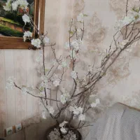 درختچه تزئینی