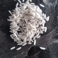 برنج دره رود درجه یک مغان