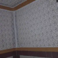 طرح رنگ کاغذ دیواری|خدمات پیشه و مهارت|قلعه گنج, |دیوار