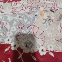 فرش ۱۲متری نگین مشهدباچندتاکناره