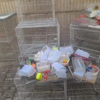 انواع قفس پرنده.