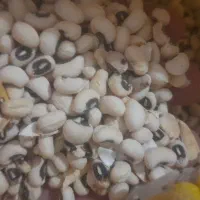 بذر لوبیا چشم بلبلی درجه ۱