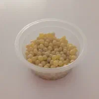 حلزون آلبینو|خزنده|شاهین‌شهر, طالقانی|دیوار