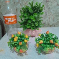 درختچه  ودو گلدان  زیبا  وشک