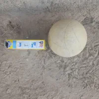 تست دستی|مواد شوینده و دستمال کاغذی|گنبد کاووس, |دیوار