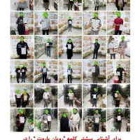 کوتوله برزیلی/قناری/پرنده/عروس هلندی/طوطی|پرنده|مشهد, فاطمیه|دیوار