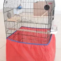 مرغ عشق با قفس