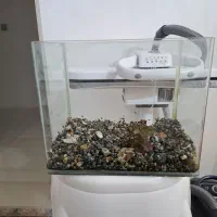 آکواریوم شیشه خم