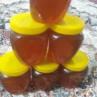 عسل گشنیز محصول کوهای گرین نهاوندوشیره انگور|خوردنی و آشامیدنی|پیشوا, |دیوار