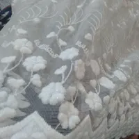 دوعددپرده