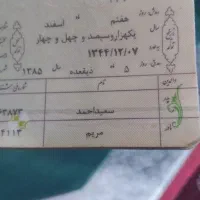 شناسنامه پیدا شده|اشیا|تربت جام, خیرآباد|دیوار